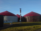 2008 01 13 sonnige gr nkohlwanderung zu hennings biogasanlage in helmerkamp 027